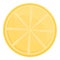 Grill lemon piece icon cartoon vector. Bbq brazier