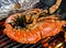 Grill lobster cooking seafood street food BBQ