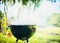 Grill with smoke over summer outdoor nature in garden or park, outdoor