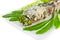 Grill striped snakehead fish with salt coated