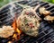 Grilled bone-in pork chop, pork steak, tomahawk in a herb marinade on a flaming grill, close-up, top view.