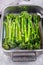 Grilled broccolini in baking dish.  Baked baby broccoli. Close-up. Copy space