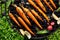 Grilled carrots in a herbal marinade on a grill plate, outdoor, top view.