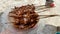 Grilled Chicken Satay with Peanut Sauce and Crispy Fried Onion Toppings