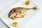 Grilled dorada fish