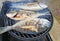 Grilled gilthead sea bream, dorada on the bbq