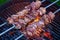 grilled marinated pork meat skewers