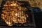 Grilled pieces of chicken meat outdoors