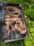 Grilled pork neck and sausages, made over a wood fire. Cou de porc et saucissons grillÃ©s, cuits au feu de bois.Gegrillter Schwein