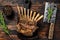 Grilled rack ribs of lamb meat chops. Dark wooden background. Top view