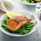 Grilled salmon served with green beans