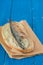 Grilled sardine on bread on blue wooden background
