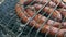 Grilled sausages on bbq. Variety `Original Nuremberg Rostbratwurst`.