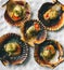 Grilled scallops with olive oil, garlic and parsley. Galician style of scallop dish Vieira. Typical ZamburiÃ±as dish from
