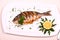 Grilled sea bream fish, lemon, arugula on white plate