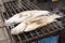 Grilled Seabass fish coated rock salt -