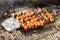 Grilled shashlik close-up. Meal preparations.