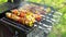 Grilled shish kebab on metal skewer. Chef cooking