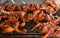 Grilled small asian birds in spicy marinade