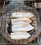 Grilled squid