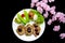 Grilled steak meat  with Pink flower isolated on black background