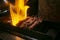 Grilled yakitori chicken skewers at an Izakaya restaurant in Omoide Yokocho street in the Shinjuku district of Tokyo..