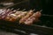 Grilled yakitori chicken skewers at an Izakaya restaurant in Omoide Yokocho street in the Shinjuku district of Tokyo..