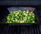 Grilling Brussel Sprouts