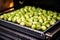 grilling brussel sprouts on a portable bbq grill