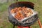 grilling sausage, bacon and onions on a home portable grill