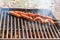 Grilling Sausages in a Barbecue Fire