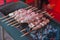 Grilling shashlik on a barbecue skewer