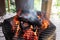 Grilling slice of cow leather over an open charcoal fire