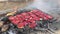 Grilling sliced tomatoes on open fire barbecue close up