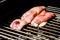 Grilling squid or cuttlefish on a coal barbecue grill