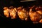 Grilling whole chickens in rotisserie machine, closeup