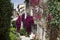 Grimaud, Old town lane with Bougainvillea glabra, Lesser Bougainvillea, Paper flower, Cote dâ€™Azur, Southern France, Europe