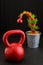 Grinch Christmas tree, Lemon Cypress tree, wrapped in red ribbon with a red ball ornament on the top, holiday fitness with a red i