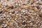 Grinded grains of barley malt close-up. Craft beer brewing from