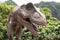 Grinning T-Rex at Kuoloa Ranch, Oahu