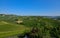 Grinzane Cavour, Piedmont, Italy. July 2018. At the foot of the castle all around heavenly views of the vineyards