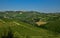 Grinzane Cavour, Piedmont, Italy. July 2018. At the foot of the castle all around heavenly views of the vineyards