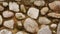 Grit stone wall background, pebble stone background