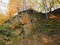 Gritstone outcrop in pennine valley autumn forest