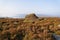 Gritstone outcrop surrounded by golden bracken on a misty autumn morning