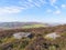 Gritstones and heather on the Derbyshire landscape