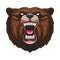 grizzly bear animal wild head colorful character