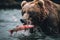 Grizzly Bear Catching Salmon and eating the fish. Ai Generative