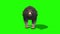 Grizzly BEAR Dies Front Green Screen 3D Rendering Animation