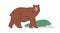 Grizzly bear going. Big wild brown animal walking on four legs. Carnivorous mammal, Ursus arctos. Flat vector